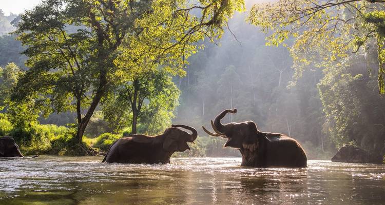 Safari por la India - UncleSam Holidays 6