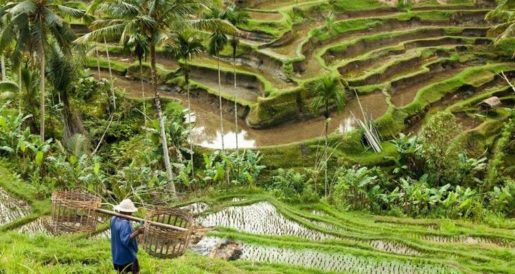 Bali Insider, visite privée - Destination Services Indonesia 6