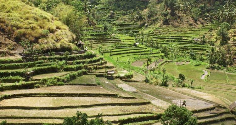 Pure of Bali, Private Tour - Destination Services Indonesia 7