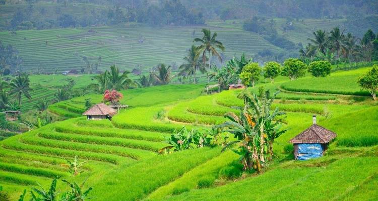 Lo más destacado de Bali y Gili, viaje privado - Destination Services Indonesia 1