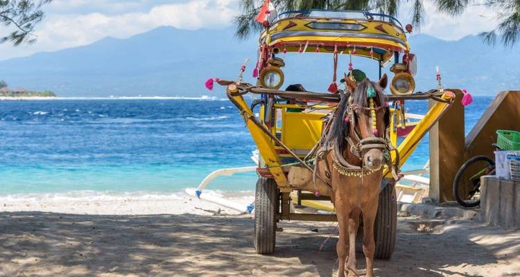 Lo más destacado de Bali y Gili, viaje privado - Destination Services Indonesia 6