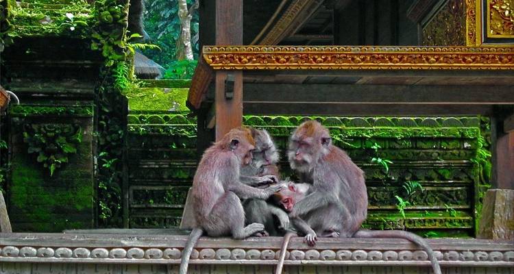 Bali inolvidable, viaje privado - Destination Services Indonesia 5