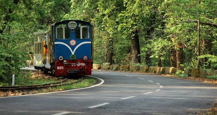 Ein Spielzeugzug auf einer kurvigen Straße, umgeben von üppigen Bäumen.