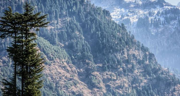 Vacances dans l'Himachal Pradesh - UncleSam Holidays 7