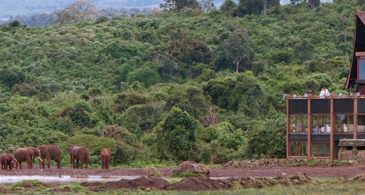 7 Days Big 5 Widlife Safari in Kenya - Samson's Safaris 1