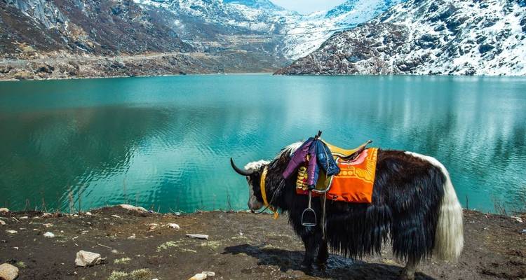 Circuito a Darjeeling y Gangtok - UncleSam Holidays 10