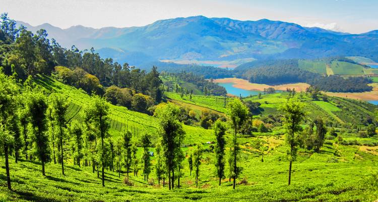Grand Tour of South India - UncleSam Holidays 3