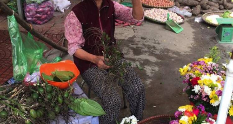 Ruta esencial de 11 días por el norte de Vietnam - Tweet World Travel 6