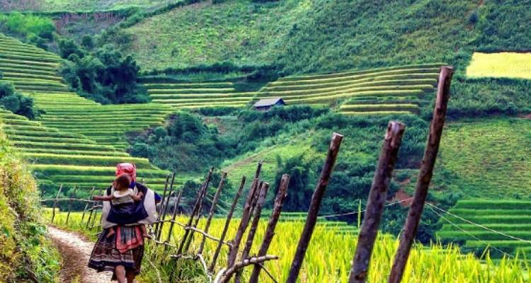 Ruta esencial de 11 días por el norte de Vietnam - Tweet World Travel 10