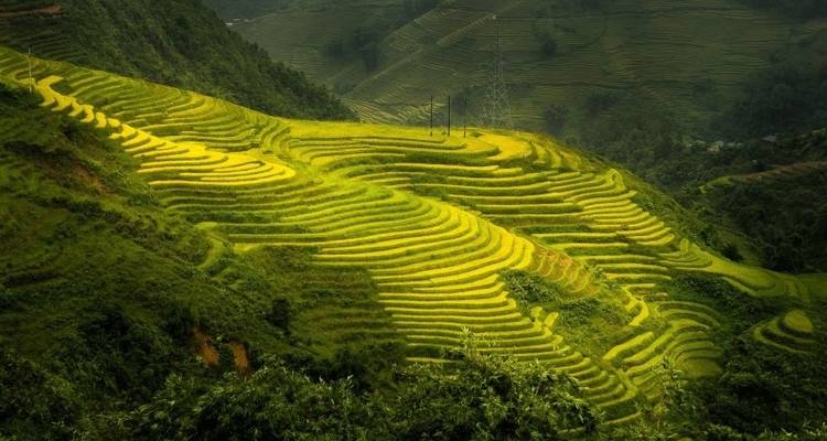 Lo mejor de Vietnam y Camboya en 15 días - Tweet World Travel 7