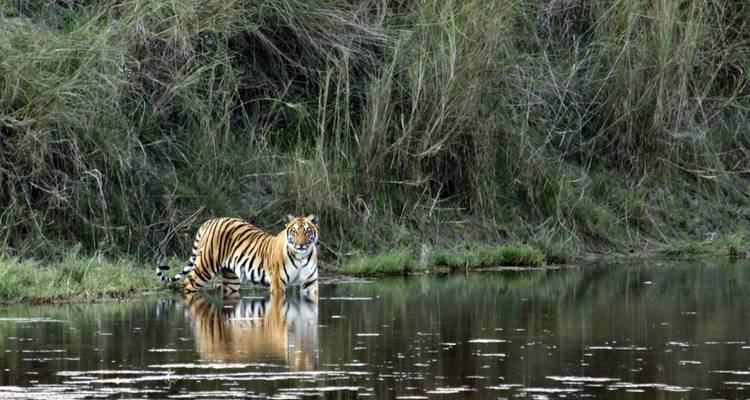 Circuit au Rajasthan avec Ranthambore - UncleSam Holidays 1