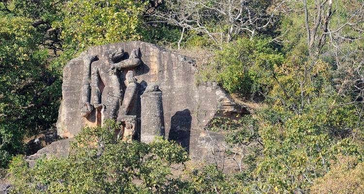 Wildlife and Cultural India Tour - UncleSam Holidays 1