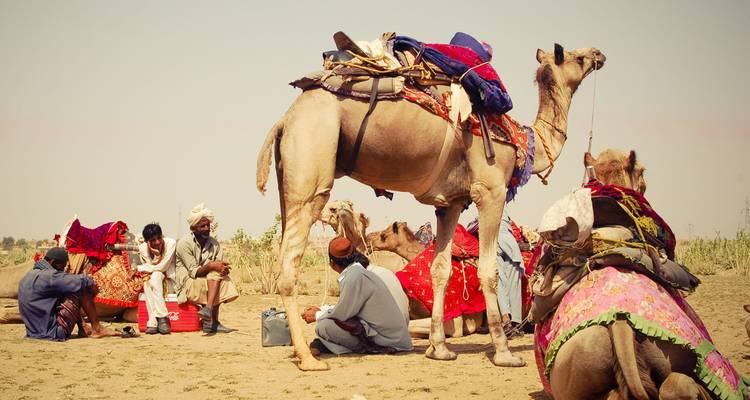 Circuit au Rajasthan - UncleSam Holidays 3