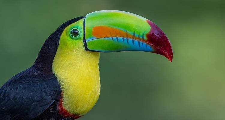 Recorrer Costa Rica Fly y Drive - Destiny Travel Costa Rica  10