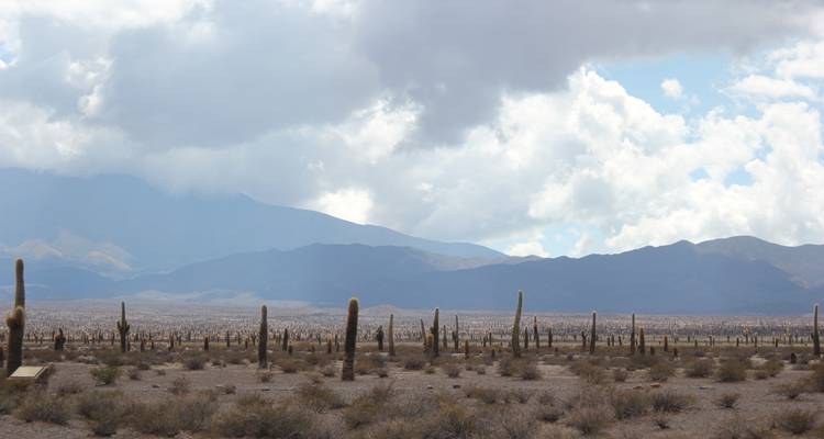 AWESOME JOURNEY 7 DAYS THROUGH THE MAGNIFICENT NORTHWEST ARGENTINE - Signature DMC 3
