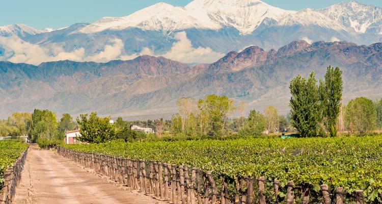 4 Days of Adventure in Mendoza – Beauty & Adrenaline - Signature DMC 6