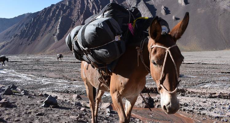 Route à 360° - Sommet de l'Aconcagua - Unu Raymi Expeditions 6