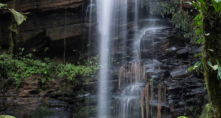 4 días Archidona Amazonas Lodge Comunidad Kichwa - Responsible Travel South America 1