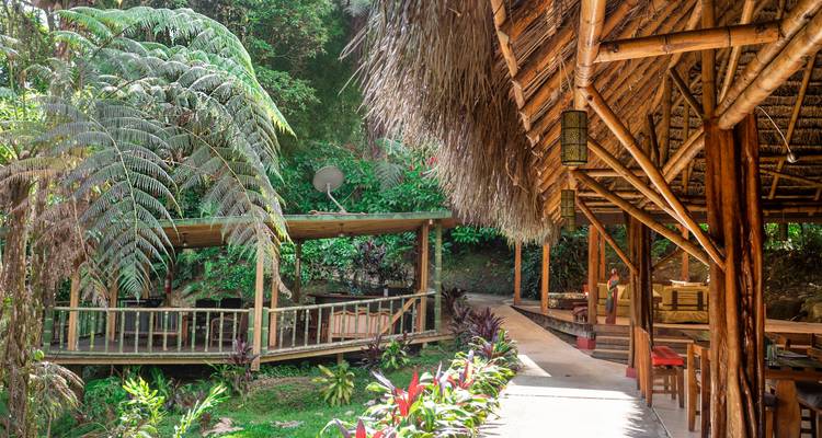 4 días Archidona Amazonas Lodge Comunidad Kichwa - Responsible Travel South America 3