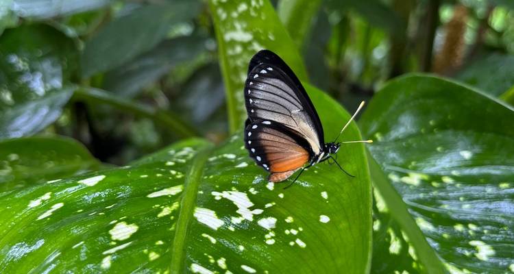 4 días Archidona Amazonas Lodge Comunidad Kichwa - Responsible Travel South America 4
