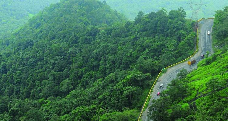 Kurvenreiche Straße durch einen dichten grünen Wald von oben gesehen.