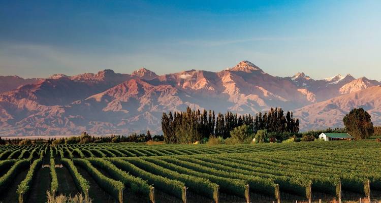 3 jours d'escapade pour les amateurs de vin - Mendoza Experience ! - Signature DMC 1