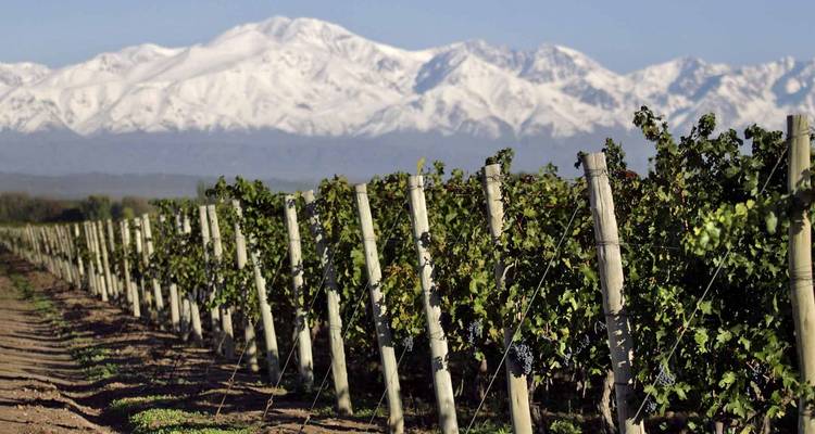 3 jours d'escapade pour les amateurs de vin - Mendoza Experience ! - Signature DMC 2