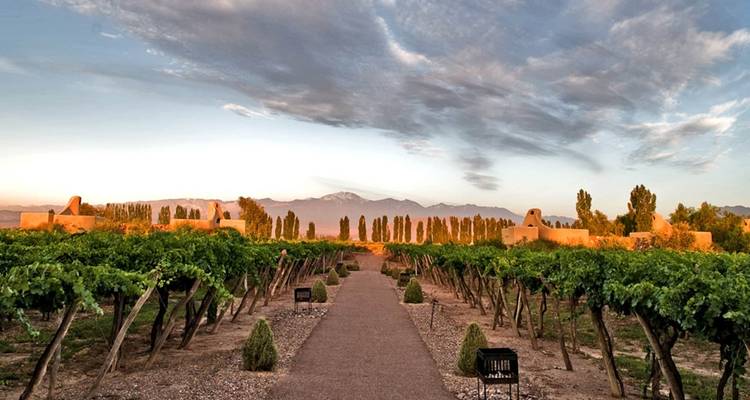 3 jours d'escapade pour les amateurs de vin - Mendoza Experience ! - Signature DMC 3