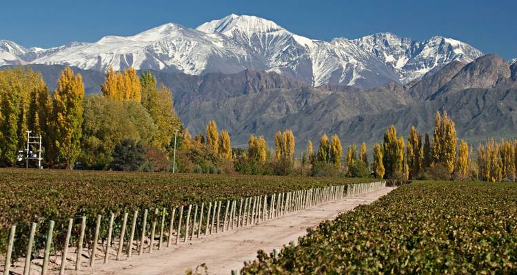 3 jours d'escapade pour les amateurs de vin - Mendoza Experience ! - Signature DMC 6