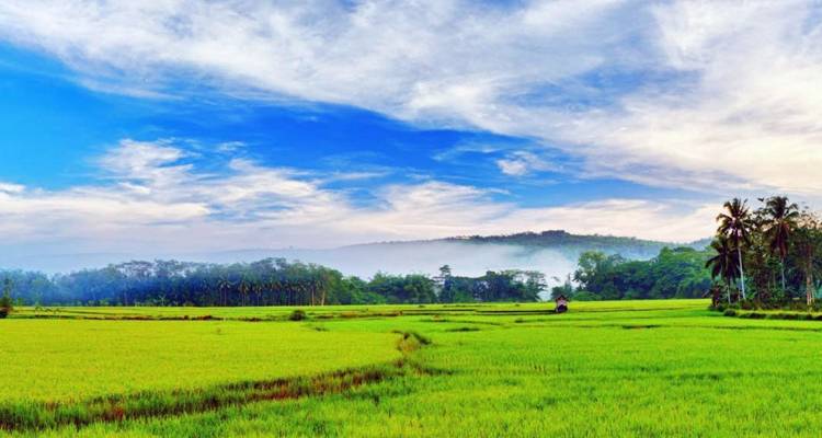 Viaje de 12 días al sur de la India - UncleSam Holidays 2