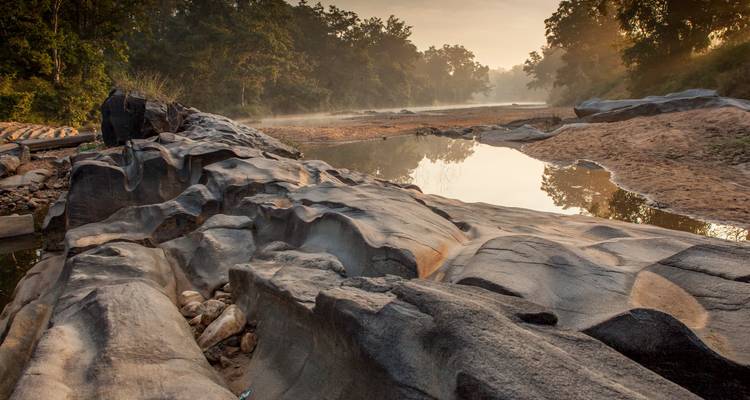 Felsbrocken und ein ruhiger Fluss bei Sonnenaufgang in einem Wald.