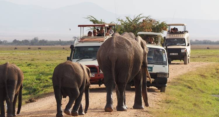14-Days Discover Kenya wildlife luxury lodge safari & Mombasa Beach Holiday - Gracepatt Ecotours Kenya 4
