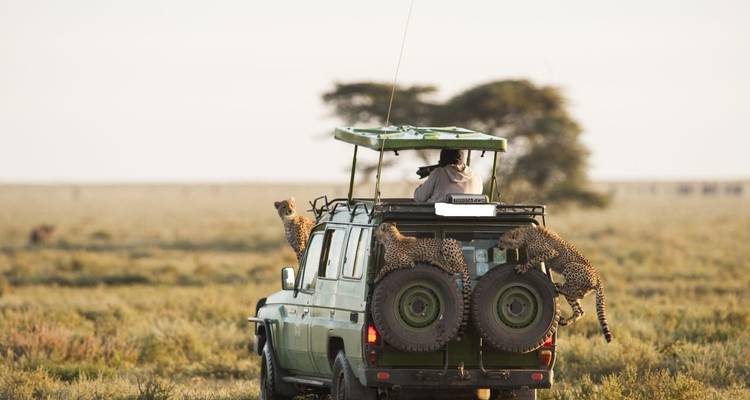 14-Days Discover Kenya wildlife luxury lodge safari & Mombasa Beach Holiday - Gracepatt Ecotours Kenya 5