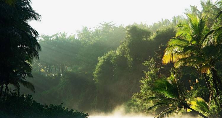 Le meilleur de l'Inde du Sud exotique - UncleSam Holidays 4