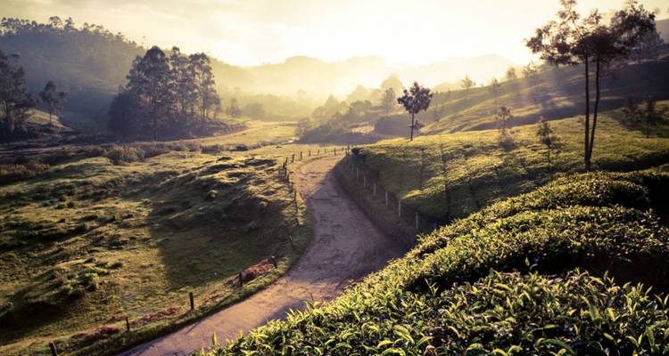 Le meilleur de l'Inde du Sud exotique - UncleSam Holidays 6