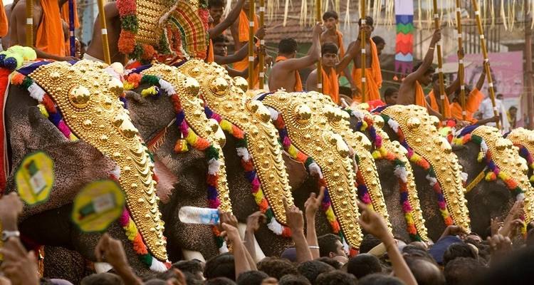 Le meilleur de l'Inde du Sud exotique - UncleSam Holidays 8