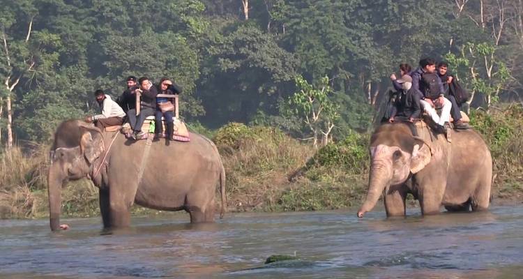 Menschen reiten auf Elefanten durch eine Wasserstraße im Chitwan-Nationalpark.