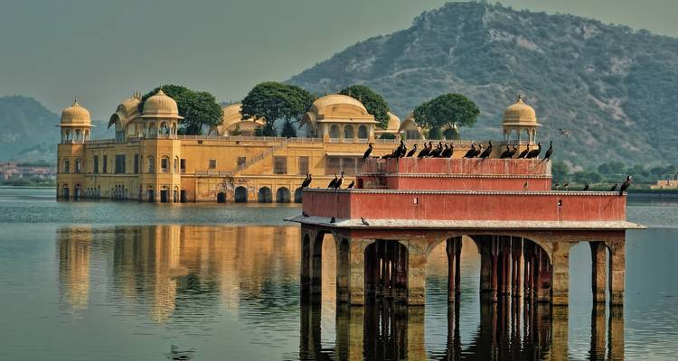 Jal Mahal auf dem Wasser mit Vögeln, die im Vordergrund sitzen.