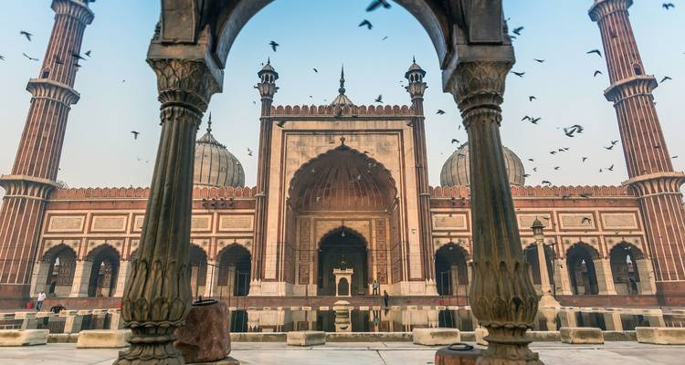 Moschee mit Vögeln, die im Vordergrund fliegen.