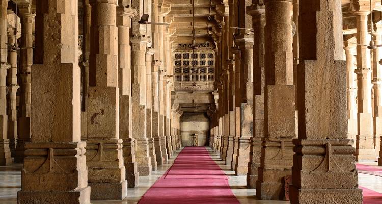Faune et temples du Gujarat - UncleSam Holidays 4