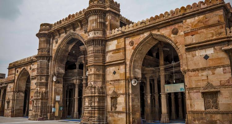Faune et temples du Gujarat - UncleSam Holidays 6