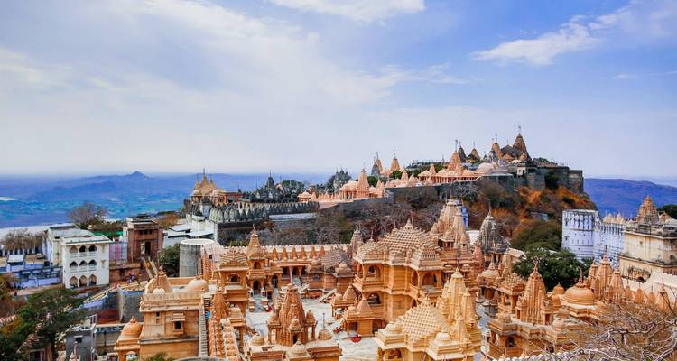 Faune et temples du Gujarat - UncleSam Holidays 9