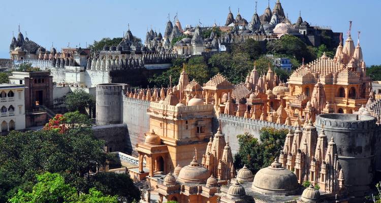 Faune et temples du Gujarat - UncleSam Holidays 10