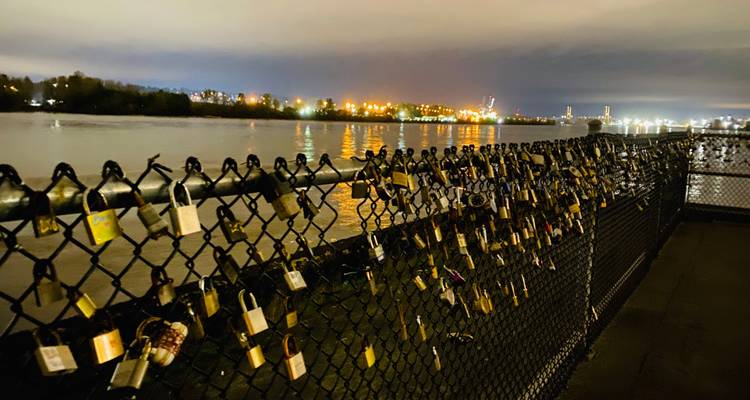 Half-Day Private Guided City Tour of Vancouver for Couples - Globalduniya 1