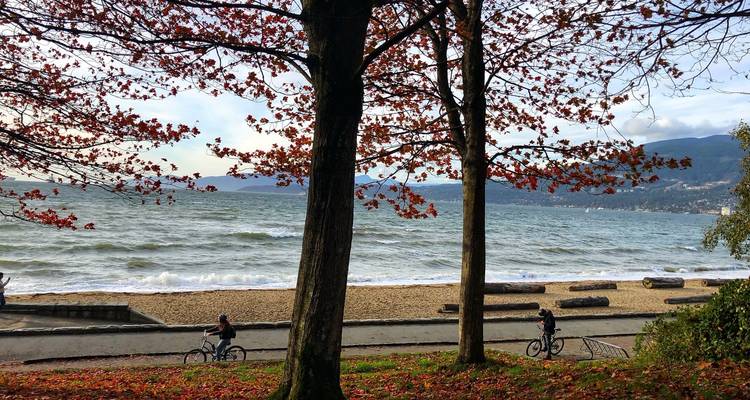 Half-Day Private Guided City Tour of Vancouver for Couples - Globalduniya 7