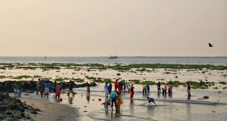 Descubre el sur de la India - UncleSam Holidays 6