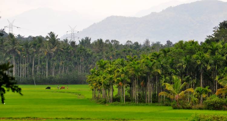 Descubre el sur de la India - UncleSam Holidays 9