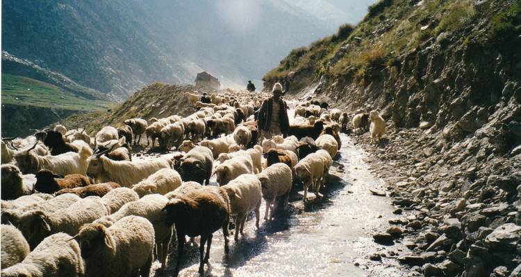 Himalayan Odyssey - UncleSam Holidays 8