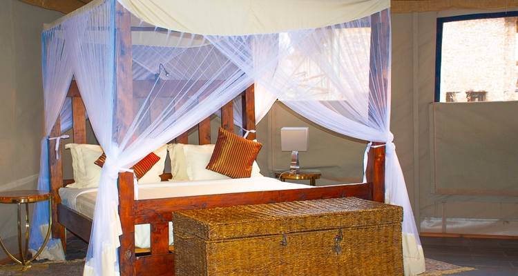 Safari Clásico de los Cinco Grandes en Tanzania **Viaje con Enfoque Sostenible - World Adventure Tours 9