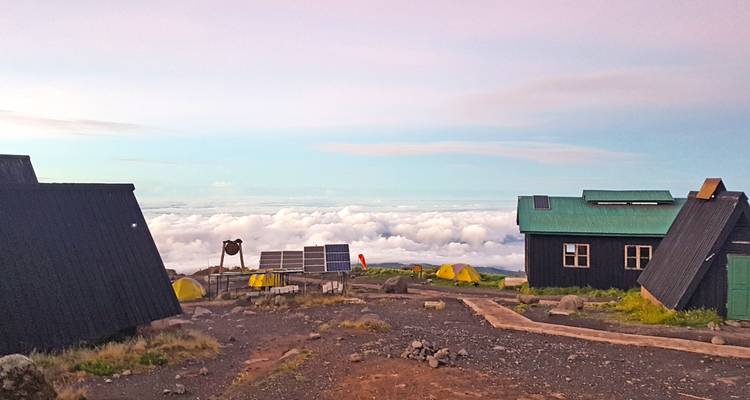 Kilimanjaro Climb via Lemosho Route - Himalayan Glacier Adventure and Travel Company 6